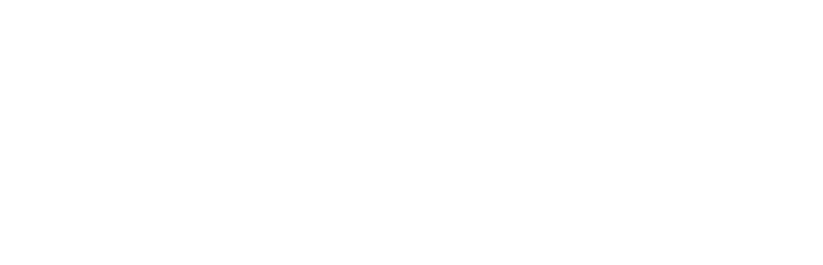 American Space Law Society logo